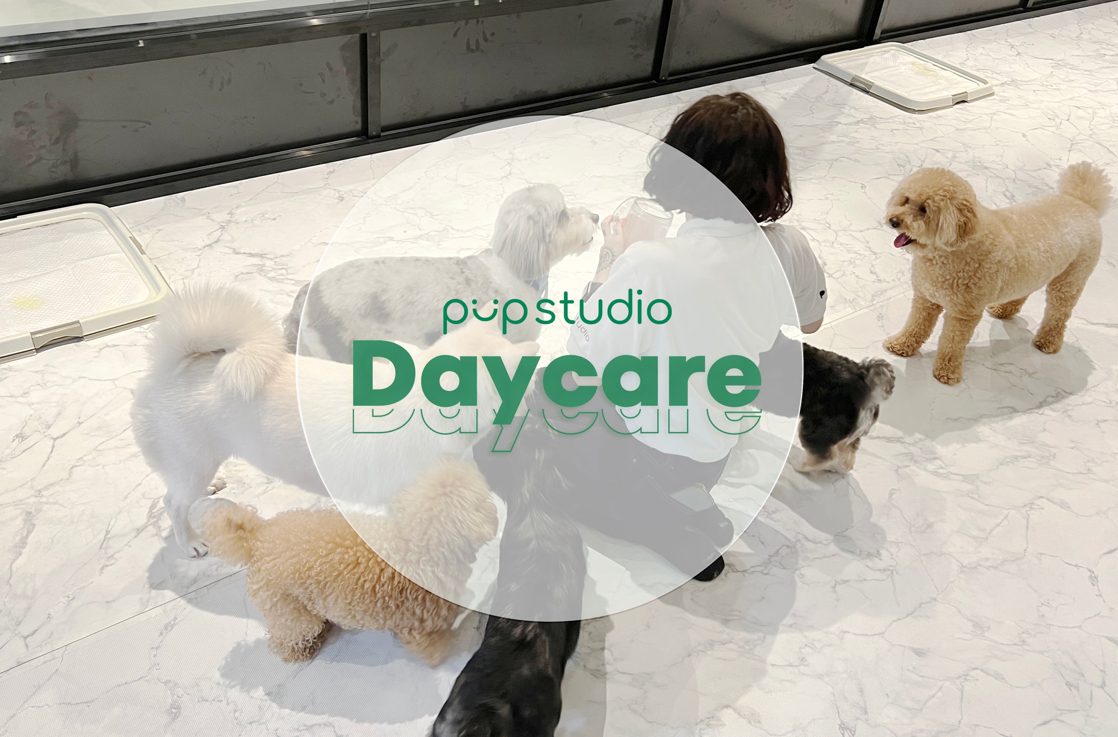 Pupstudio - Upper East Side